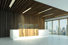 Laden Sie das Bild in den Galerie-Viewer, Hygieneschutzverglasungen exclusiv- Lösungen nach Maß