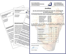 Laden Sie das Bild in den Galerie-Viewer, Innentür-Garnituren antibakteriell Secusan, HOPPE-Aluminium-Rosetten-Türgriff-Garnitur Amsterdam